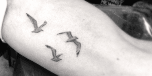 tatuajes pequeños de gaviotas